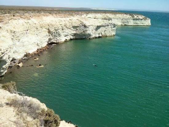 la Lobería de Punta Loma
